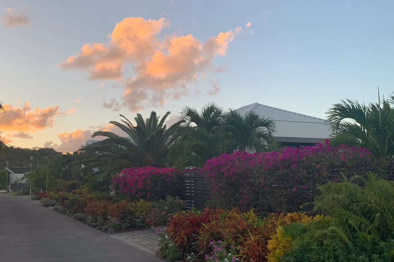 Dual citizenship with Antigua in 2026: is it permitted and what are the nuances