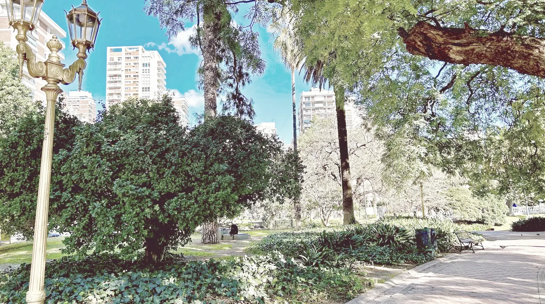 аллея в парке Палермо