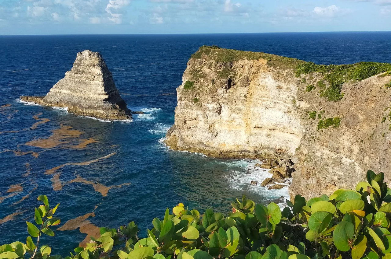 How much does Dominica citizenship cost in 2026: EDF contribution and real estate