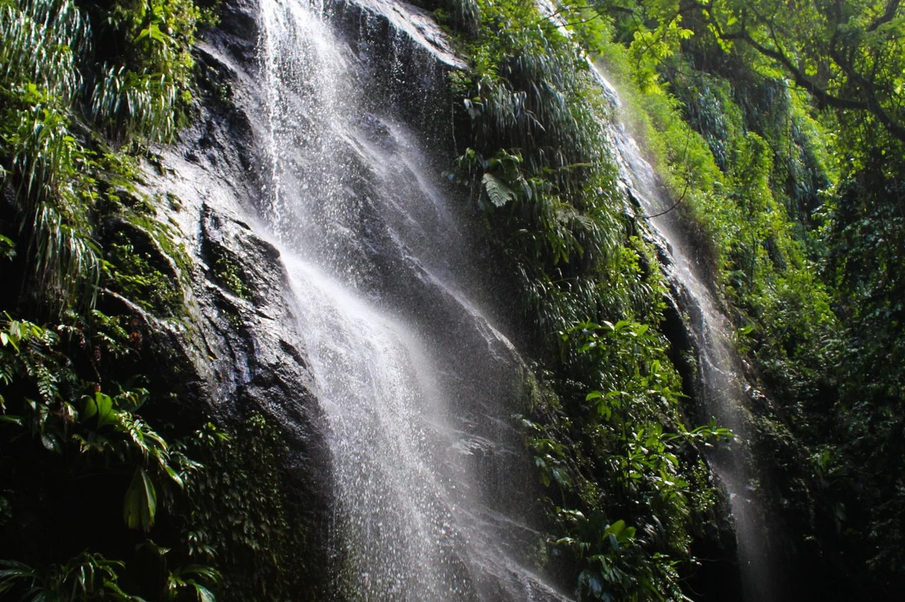 Documents for Dominica citizenship 2026: full list and apostille