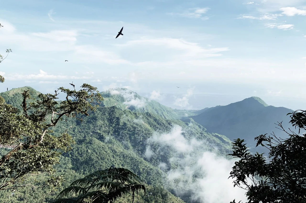 Dominica Real Estate for Citizenship 2026: Eco-Resorts and Prices