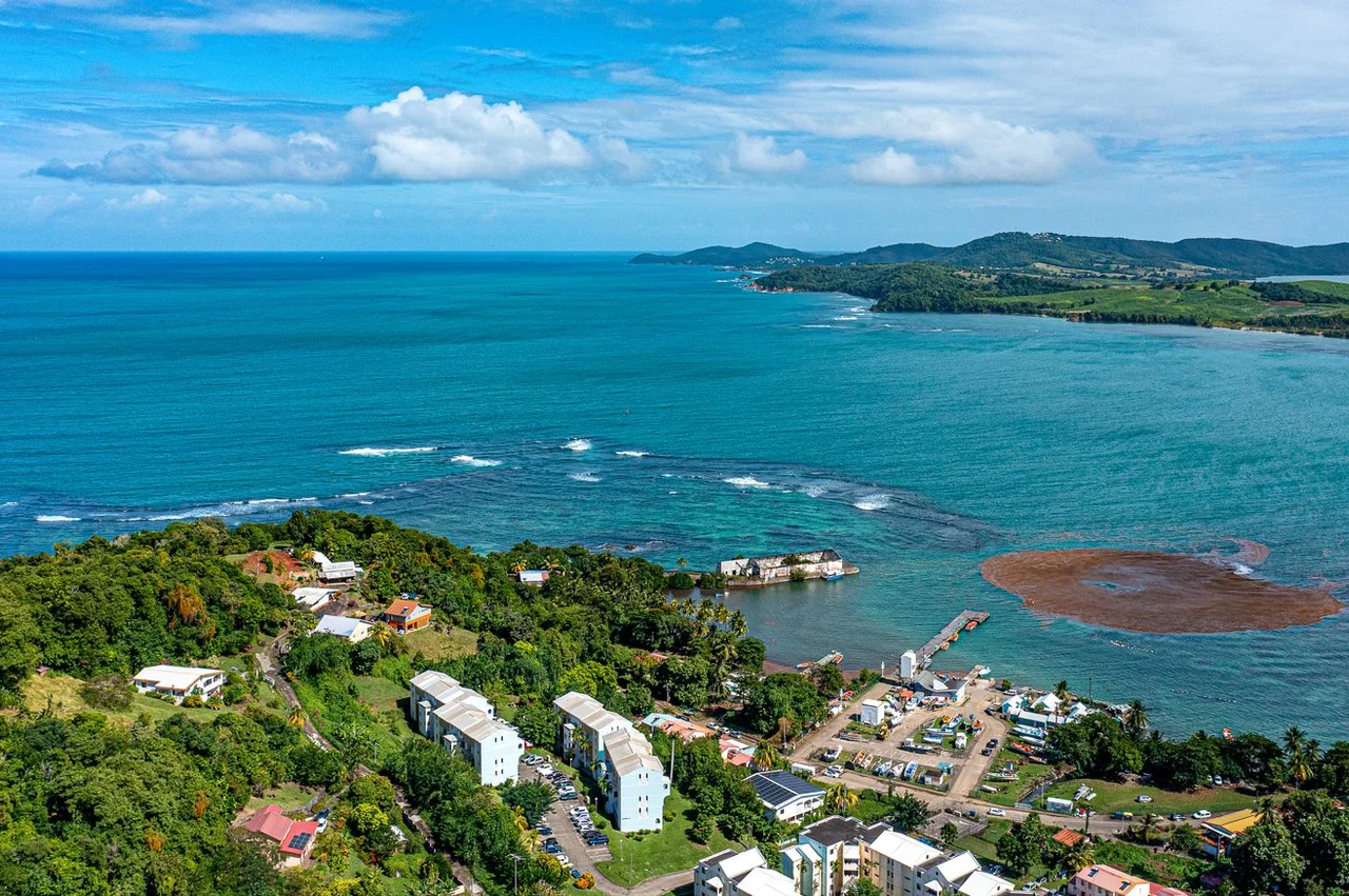 Taxes in Dominica in 2026: what is taxed and what is not