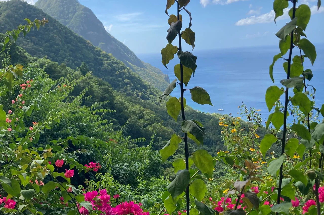 Saint Lucia taxes in 2026: no worldwide income tax