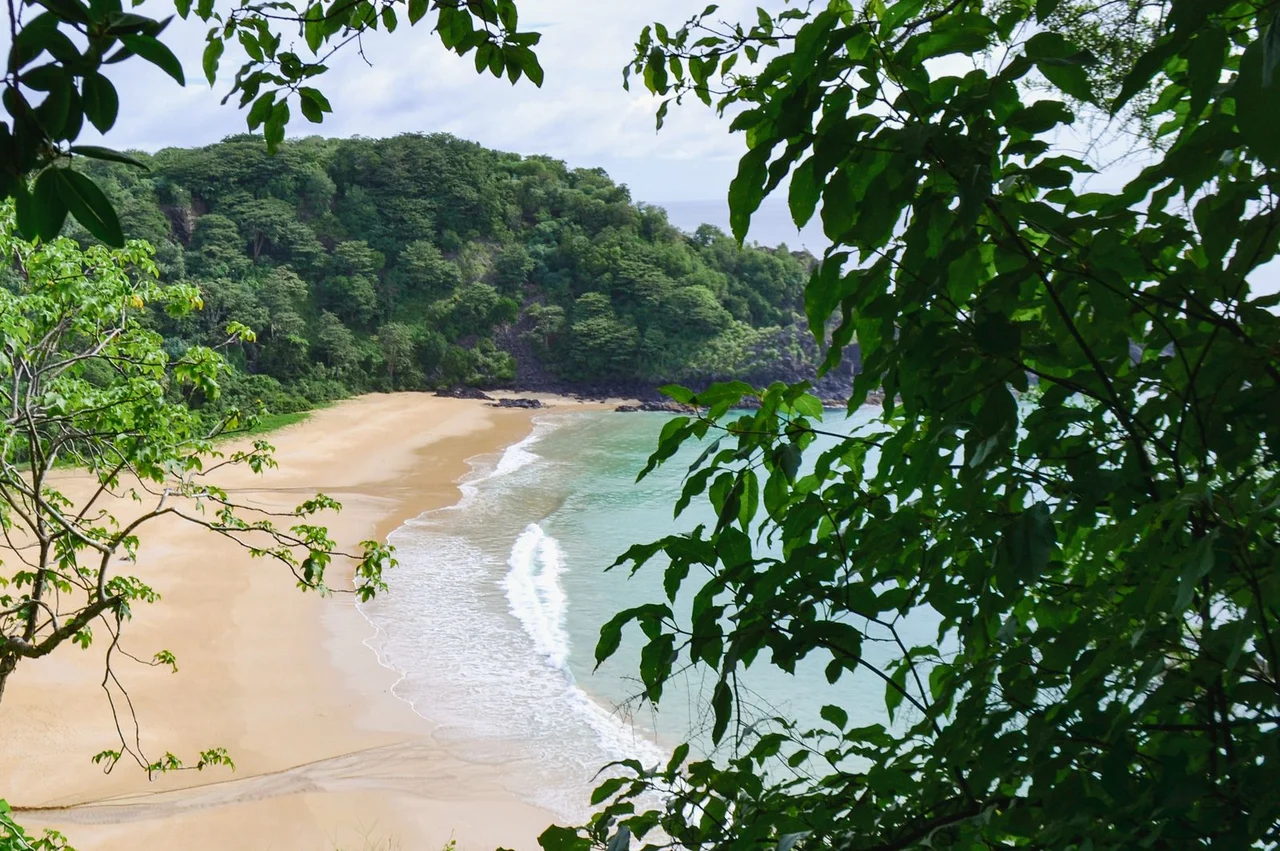 Sao Tome and Principe: what kind of country is it, where is it located and how does it live?