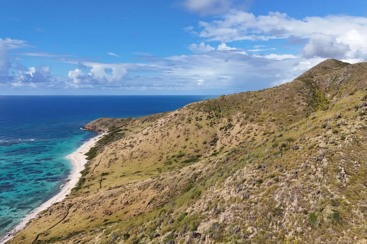Duration of citizenship of St. Kitts in 2026: how long to wait by stages