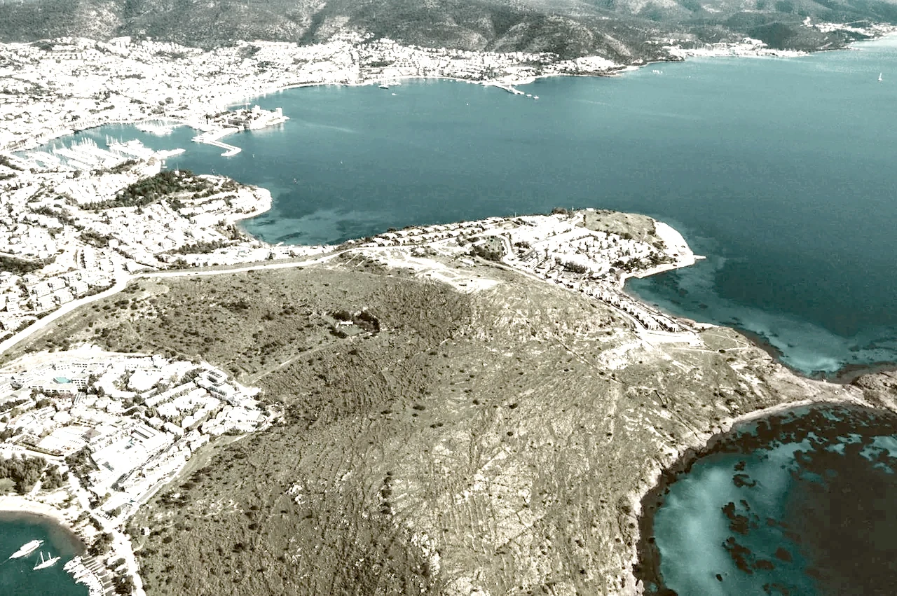Turkish citizenship remotely by proxy in 2026: is it possible without arriving?