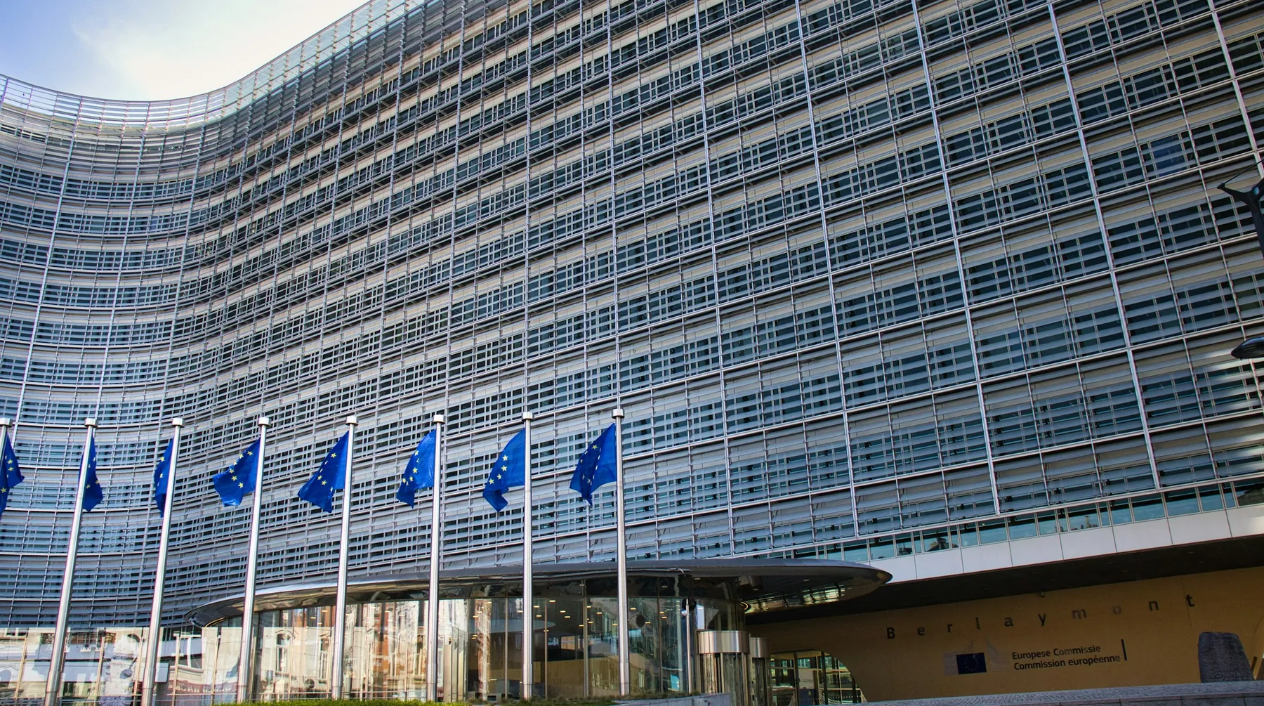 Daniel Kovach against the flag of the European Union