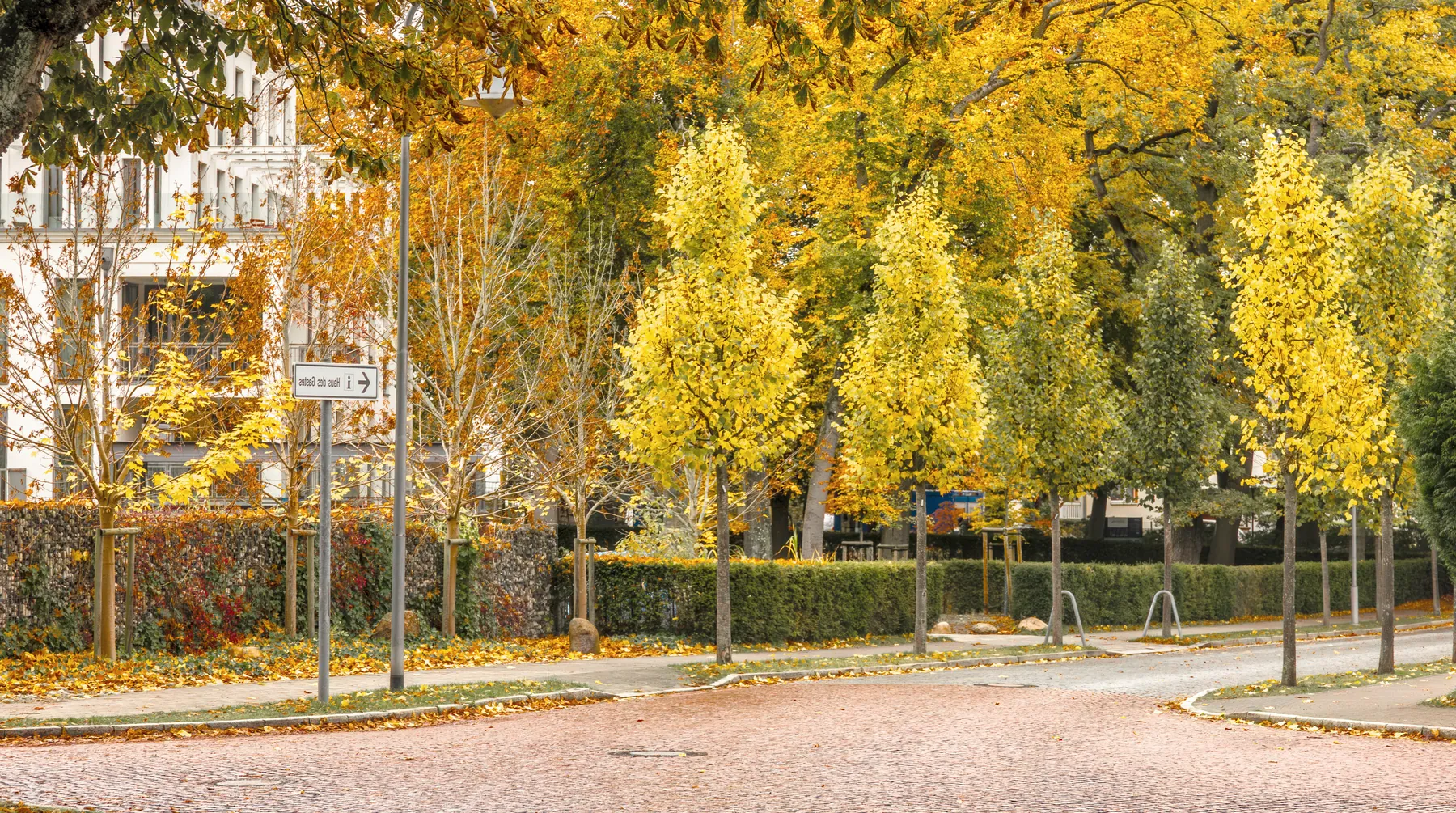 An autumn street in a European city