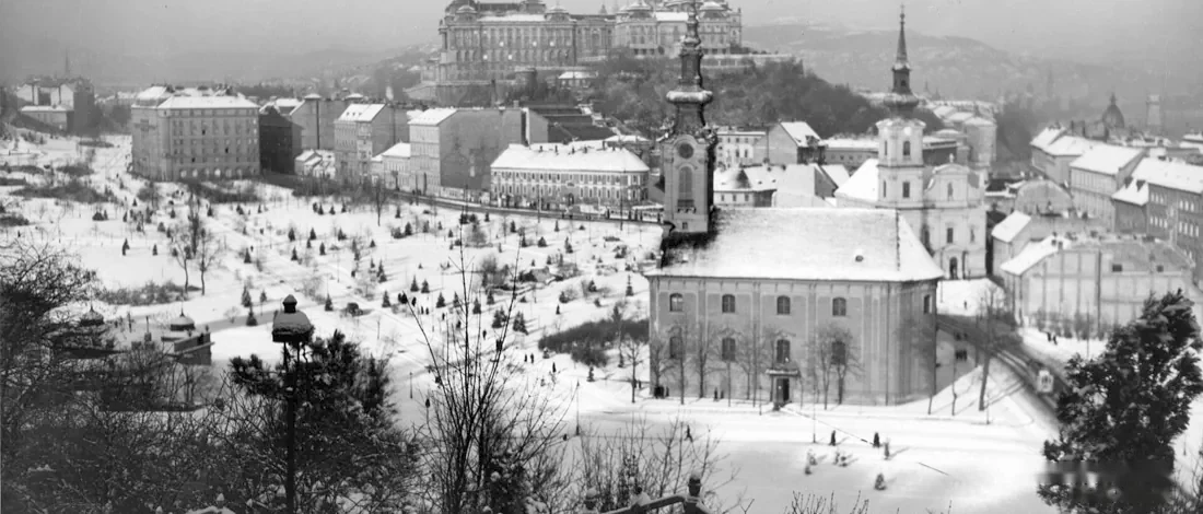 Buda hills houses