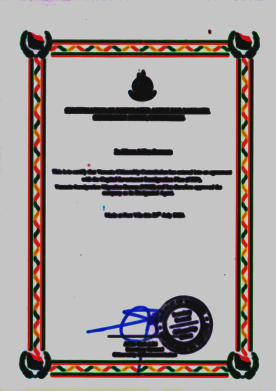 A page of the BRIDGES GLOBAL document pack on Egypt: The certificate of citizenship