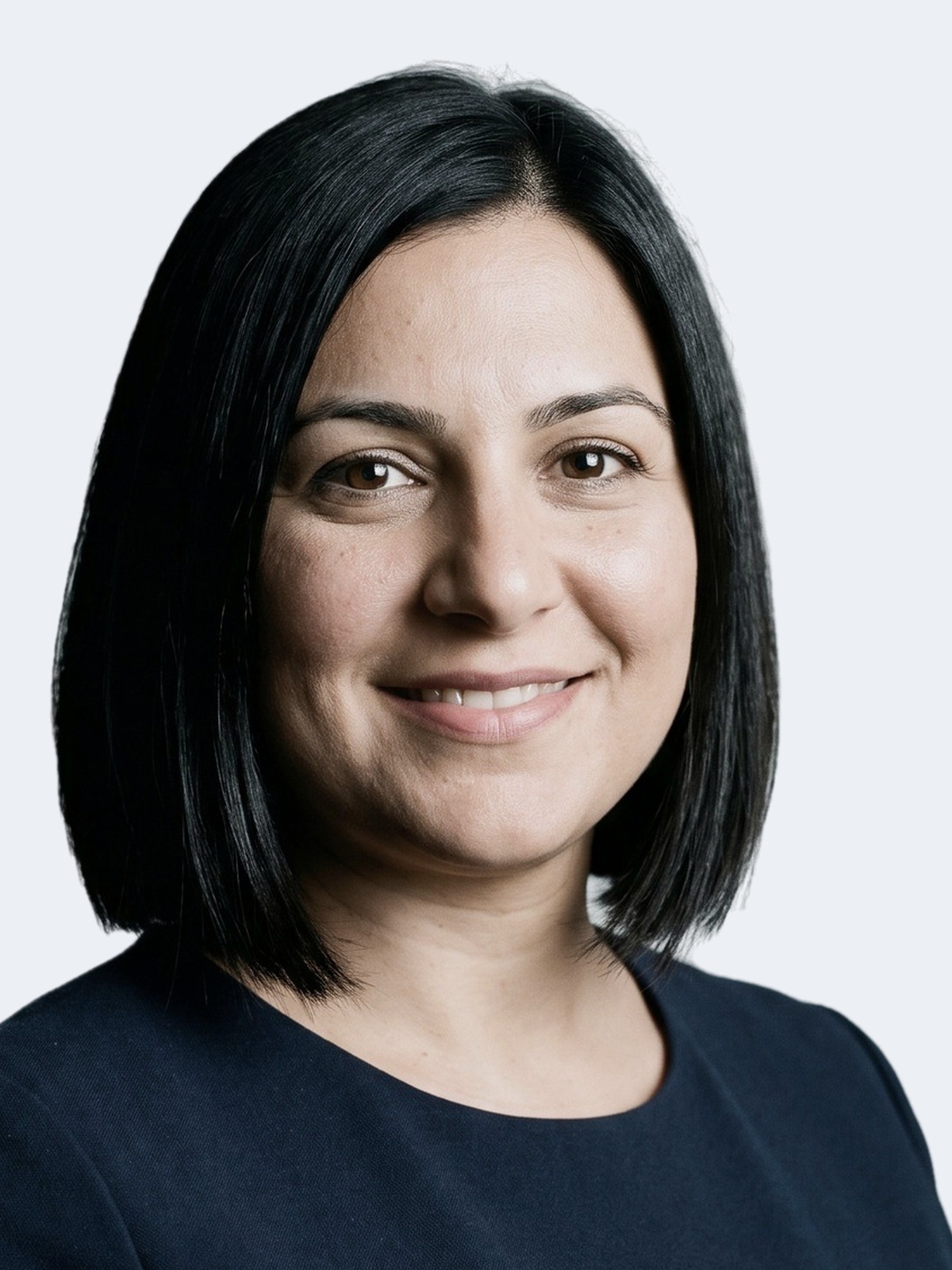Sofia Mendes, Investment Programs Expert, BRIDGES