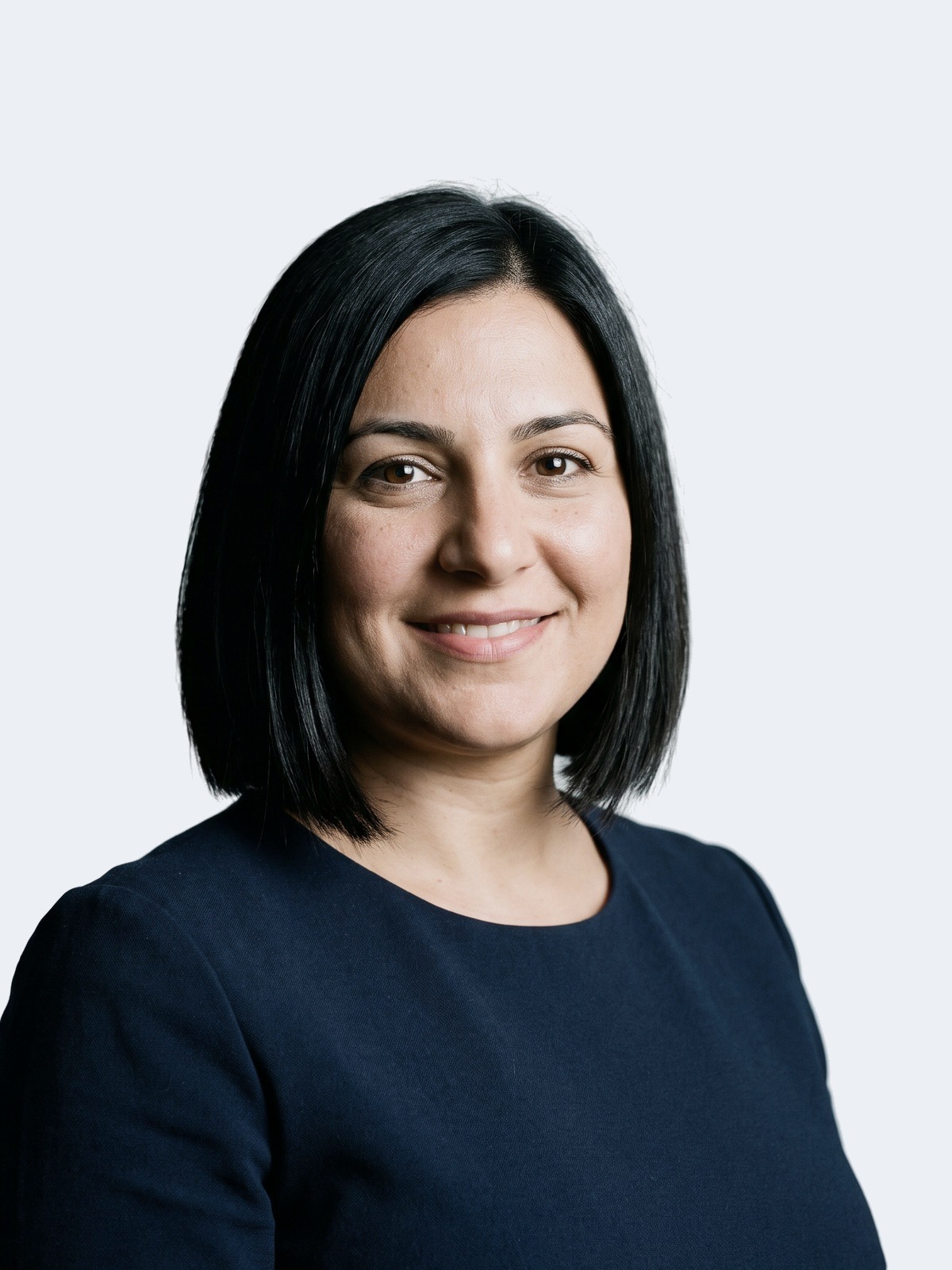 Sofia Mendes, Investment Programs Expert, BRIDGES